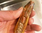エビの頭の塩焼き作り方1写真