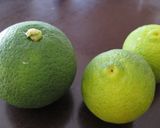 カボスで☆はちみつヨーグルト？ドリンク作り方3写真