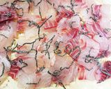 こんなやり方なかった。メジナの昆布締め丼作り方3写真