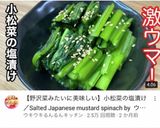 春菊とクルミのゴマサラダ作り方7写真