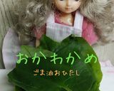 リカちゃん♡おかわかめのごま油風おひたし作り方1写真