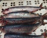 にしんの塩焼き&数の子の醤油漬け作り方1写真