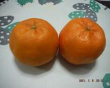 三ケ日ポンカンでシフォンケーキ作り方1写真
