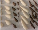 しましまくるくるバターロール作り方10写真