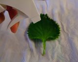 最後まで痛まない大葉の保存法★作り方3写真