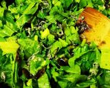 無駄にしない！カブと大根の葉生ふりかけ作り方3写真