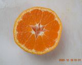 みかんジャム作り方1写真