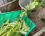 干葉(ヒバ) 千葉県お雑煮用ふりかけ作り方2写真