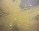鯖缶とほうれん草のバタぽんパスタ作り方1写真