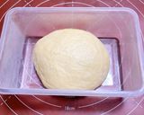 【冷蔵発酵】葡萄ジュース酵母クロワッサン作り方19写真