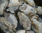昆布の旨味たっぷり牡蠣の酒蒸し☆作り方2写真