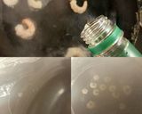 簡単!エビと椎茸のトマトクリームパスタ♪作り方5写真