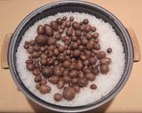 ムカゴご飯作り方4写真