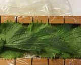 炒り卵とスモークサーモンの押し寿司作り方6写真