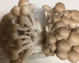 しめじの冷凍保存作り方1写真