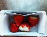 カルピスレアチーズケーキ作り方2写真