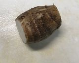 料亭風薄味の里芋の煮物♪作り方1写真