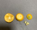 【私のための覚書】食べやすい金柑の甘露煮作り方2写真