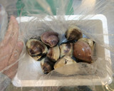 はまぐり酒蒸し潮汁作り方1写真