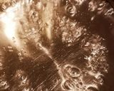 簡単!オランジェット作り方7写真