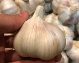 プロ直伝！炊飯器で手作り熟成黒にんにく作り方2写真