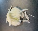 シーフード香る簡単グラタン作り方1写真