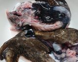 ごっこ汁とごっこの煮つけ作り方4写真