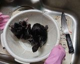 ごっこ汁とごっこの煮つけ作り方6写真
