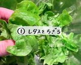 切り干し大根と焼きチーズのパンサラダ作り方1写真