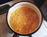 7日ダイエット☆果物だけのホットジュース作り方5写真
