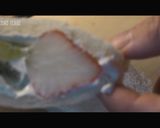 フルーツサンド作り方6写真
