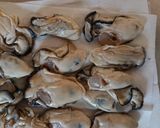 牡蠣の濃厚オイル漬け作り方2写真