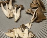 きのこの和風マカロニサラダ作り方3写真