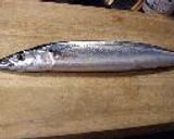 秋刀魚のわた煮作り方1写真