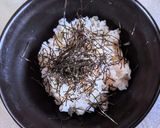 帆立貝柱の炙り漬け丼作り方9写真