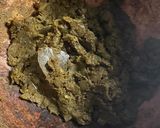 スパイスで作る本格スープカレー作り方9写真