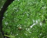 ちょっとスパイシーな　人参葉のふりかけ作り方1写真