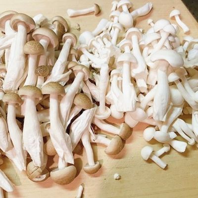 しめじの冷凍保存 by クック426ONV☆ 【クックパッド】 簡単おいしい