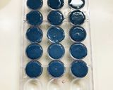 カシスのボンボンショコラ作り方18写真