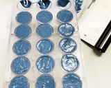 カシスのボンボンショコラ作り方19写真