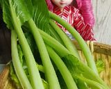 リカちゃん♡正月菜揚げさん炊いたん*煮物作り方1写真