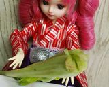 リカちゃん♡正月菜揚げさん炊いたん*煮物作り方2写真