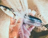 骨まで食べられる！さんまの山椒煮作り方4写真