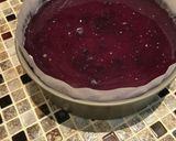 ヨーグルトのレアチーズケーキ作り方13写真