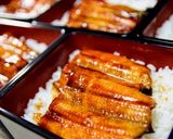 お家で生鰻からふわふわ焼き鰻のうな重作り方7写真