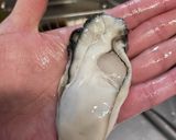 さくさく衣のカキフライ作り方3写真