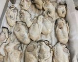 さくさく衣のカキフライ作り方7写真