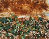 油揚げの挟み焼き作り方2写真