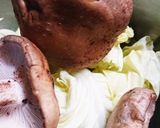 キャベツと生椎茸の餃子作り方2写真
