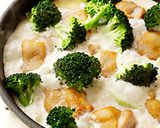 鶏肉とブロッコリーのクリーム煮作り方10写真